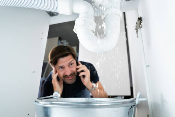 Best Clogged Drain Plumber  in Genoa, IL