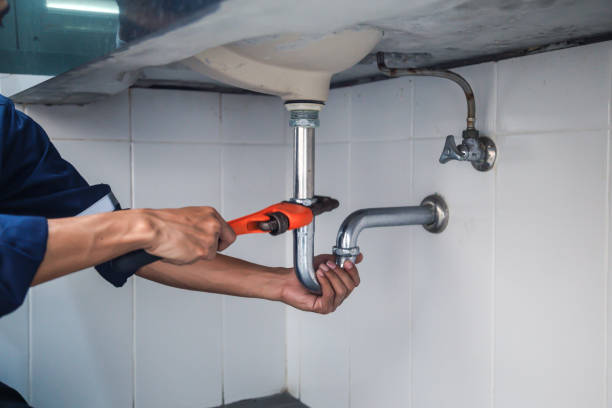 Best Commercial Plumbing Services  in Genoa, IL