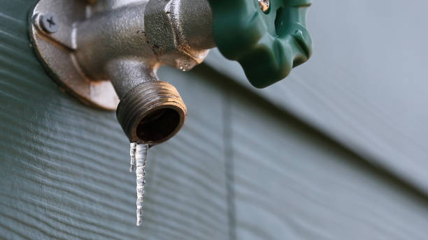 Best Leak Detection Services  in Genoa, IL