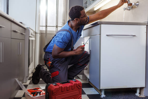 Best Plumbing Services Near Me  in Genoa, IL