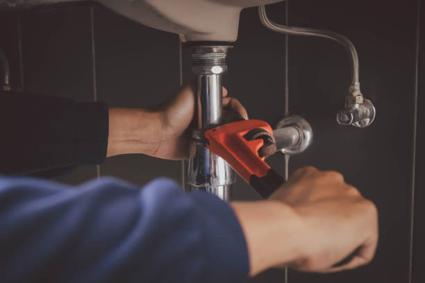 Best Plumbing Repair Near Me  in Genoa, IL