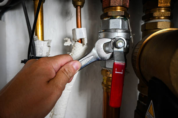 Best Affordable Plumbing Services  in Genoa, IL